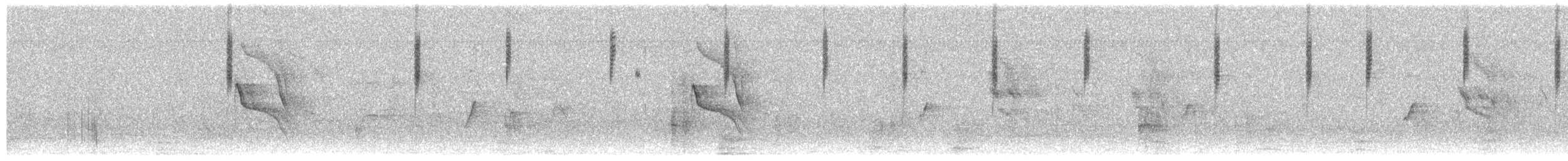 kolibřík temnobřichý - ML268454061