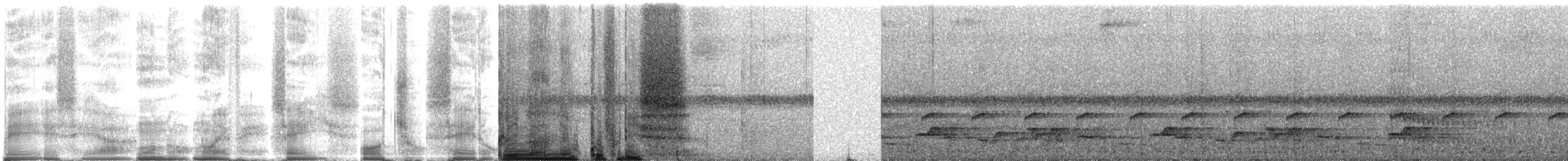 Ошейниковый трогон [группа collaris] - ML268499