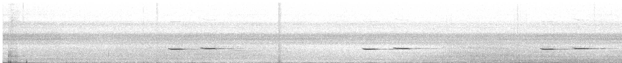 Striped Cuckoo - ML268700171