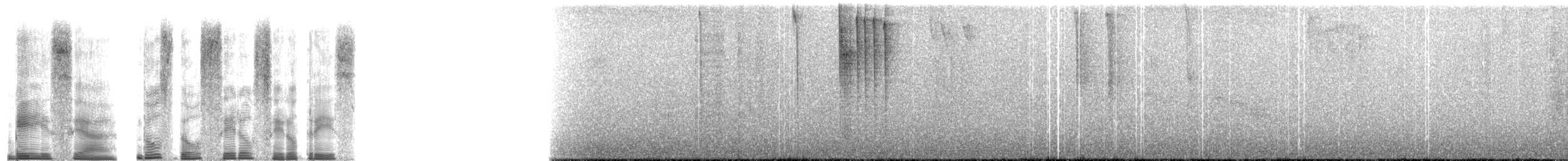 Kestane Karınlı Kolibri - ML268815