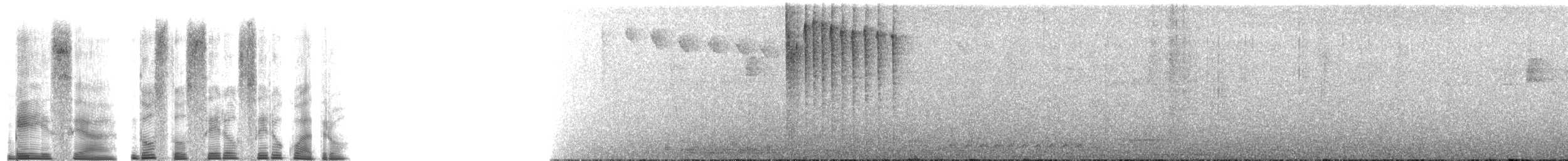 Braunbauchamazilie - ML268816