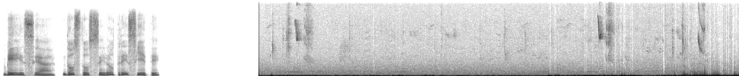 Colibri trompeur - ML268849