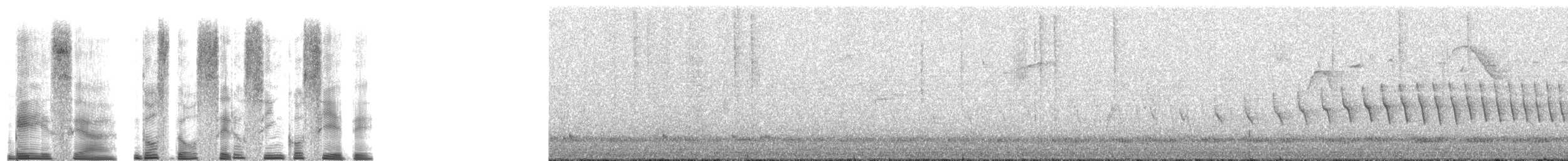 Paruline à cimier noir - ML268868