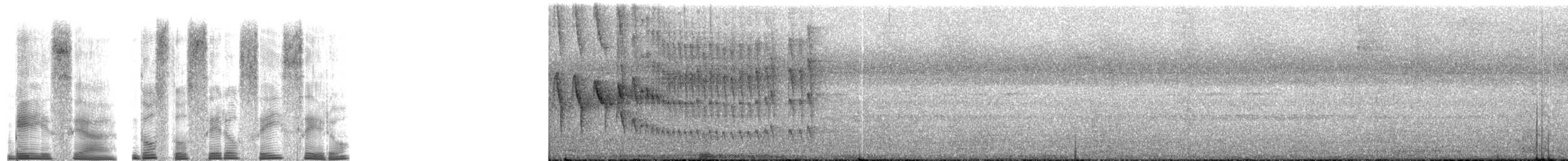 Chotacabras Serrano - ML268871