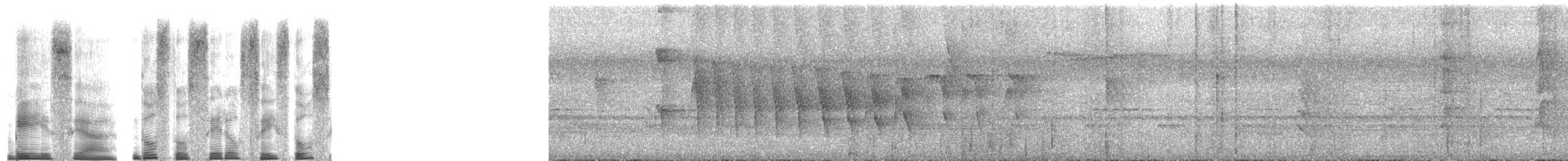 Troglodyte roux - ML268873