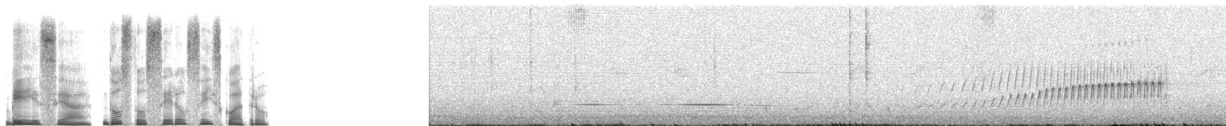 Braunmantel-Stirnvogel - ML268875