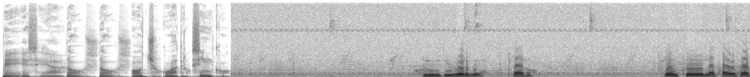 Green-tailed Goldenthroat - ML268952