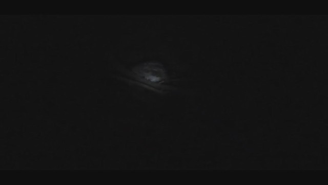 Allocco - ML268957801