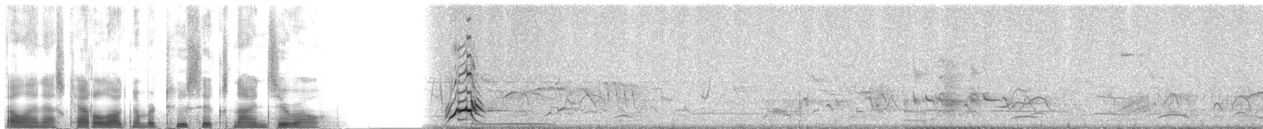 Elegant Quail - ML2690