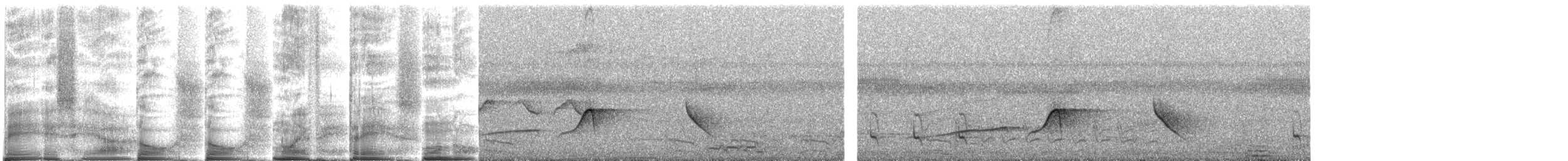 Светлобрюхий тиранн-плакса - ML269038