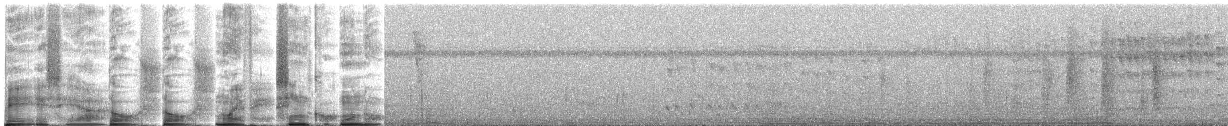 Green-tailed Goldenthroat - ML269058