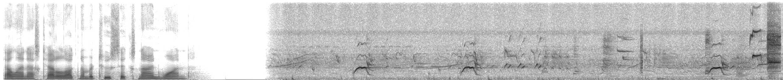 Elegant Quail - ML2691