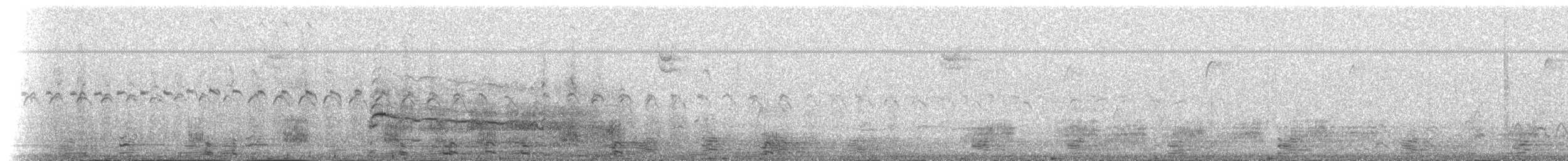 Канюк неоарктичний (підвид borealis) - ML26918171