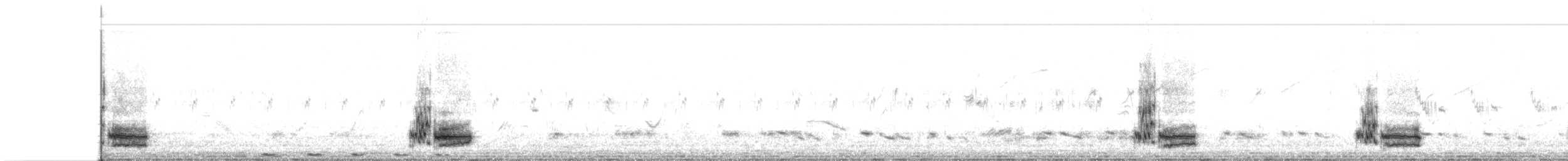 Great Gray Shrike (Indian) - ML269197981
