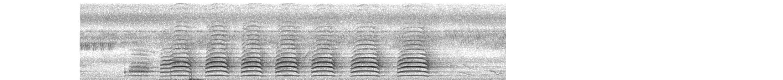 Indian Peafowl - ML269218741