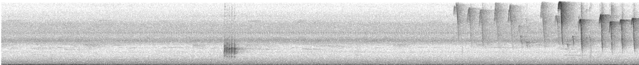Поплітник каролінський - ML269247451