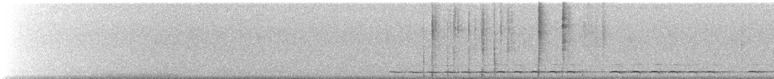 kulíšek mexický (ssp. gnoma) - ML269261291