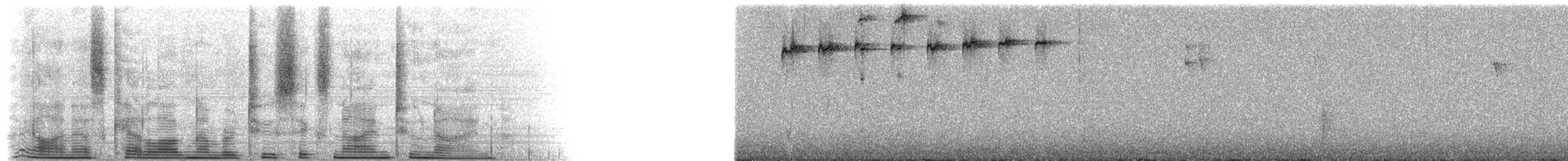 Frutero Colifajado (intermedia) - ML26929