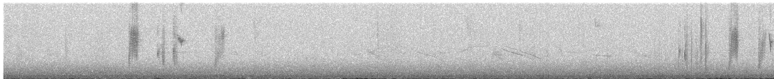 Grünband-Sonnennymphe - ML269355
