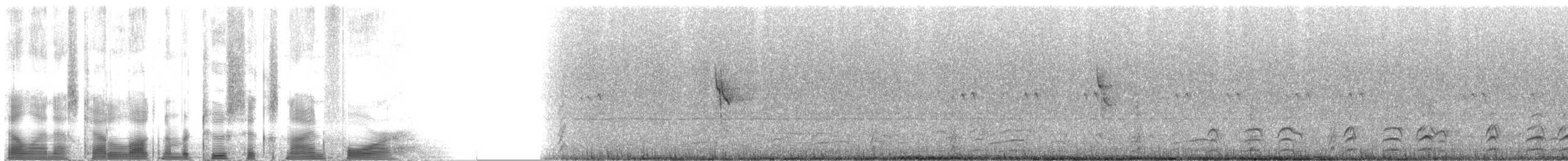 Gambel's Quail - ML2694