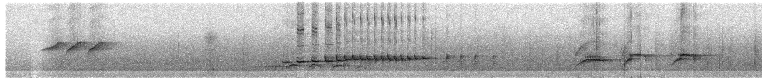 Lawrence's Thrush - ML269416631