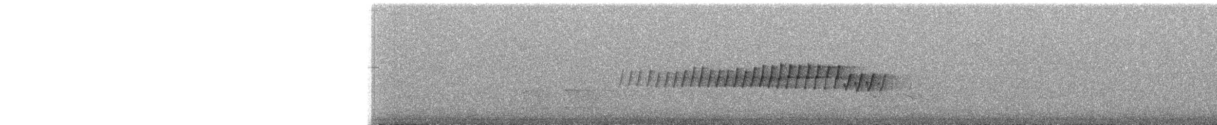 Pine Warbler - ML269464011