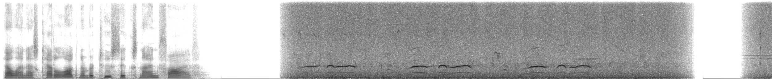 Gambel's Quail - ML2695