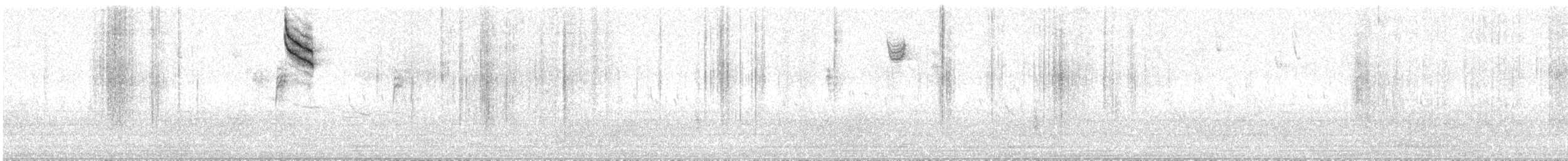 LeConte's Sparrow - ML269538641