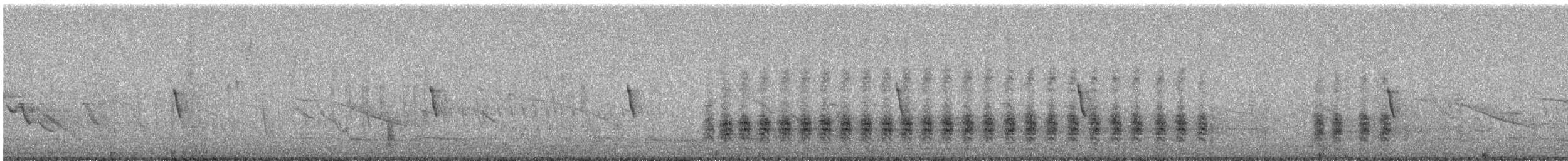 Nobelbekassine - ML269591901