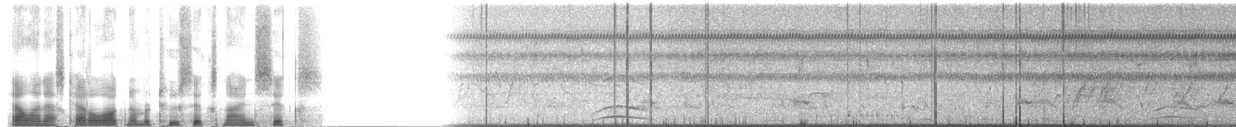 Gambel's Quail - ML2696