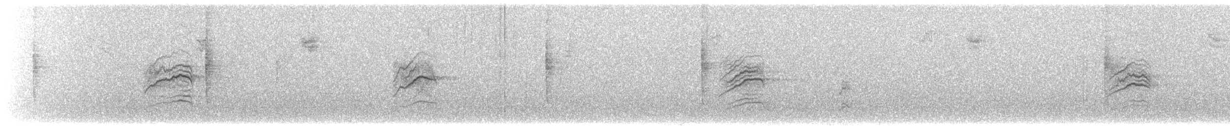 Дрізд-короткодзьоб плямистоволий - ML269622861
