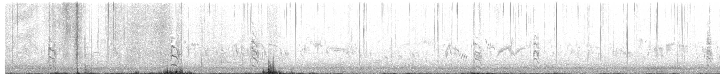 Australian Fairy Tern - ML269669701
