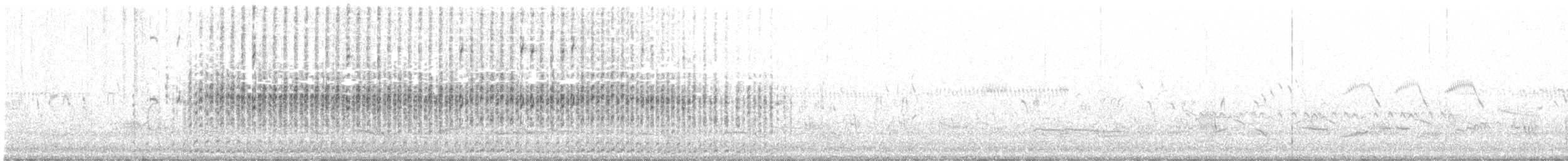 Australasian Grebe - ML269671041