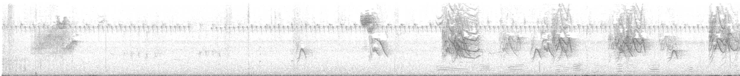 Pine Siskin - ML269698571