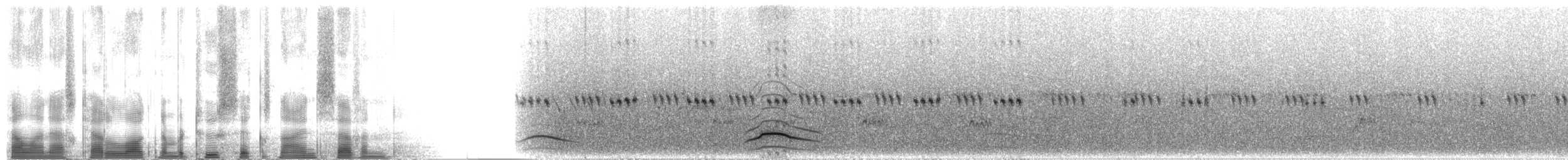 Шлемоносный перепел - ML2697