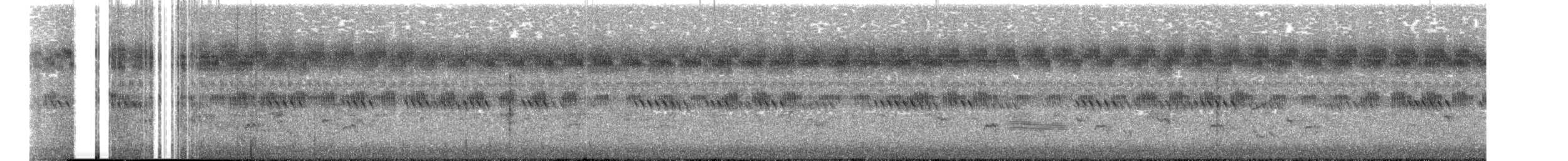 Thick-billed Warbler - ML269727261