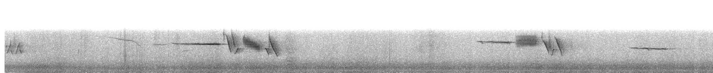 Bruant à couronne blanche (nuttalli/pugetensis) - ML269734721