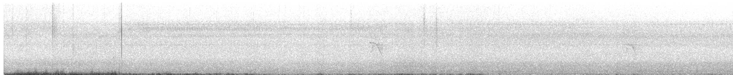 マツノキヒワ - ML269819161