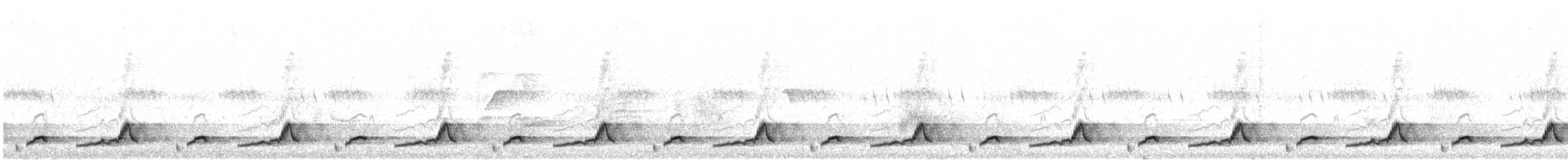 Schwarzkehl-Nachtschwalbe - ML269822251