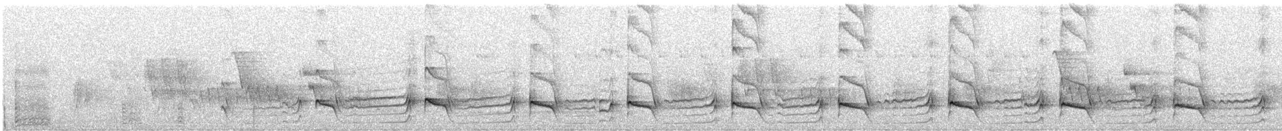Weißkehl-Baumsteiger - ML269833951