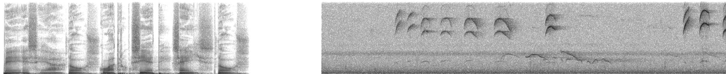 Thraupidae, unbestimmt (tanager sp.) - ML269861
