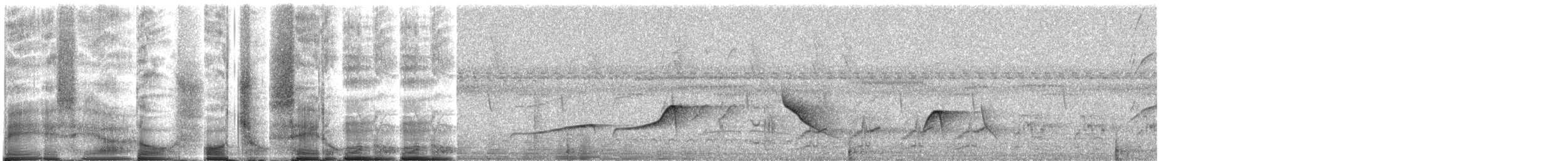 Светлобрюхий тиранн-плакса - ML269908