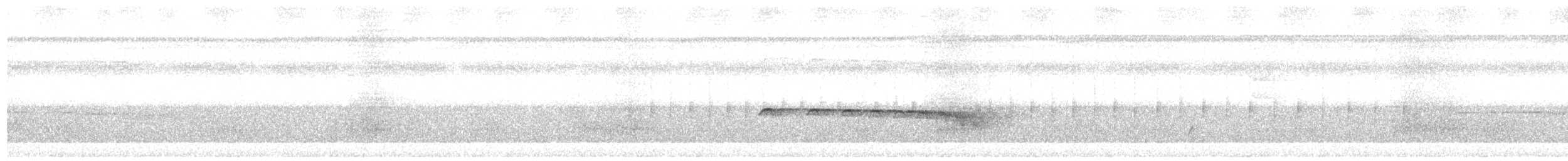 Rotschwanz-Ameisenvogel (hemimelaena) - ML269946891