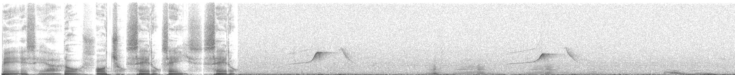 Планідера світлочерева - ML269957
