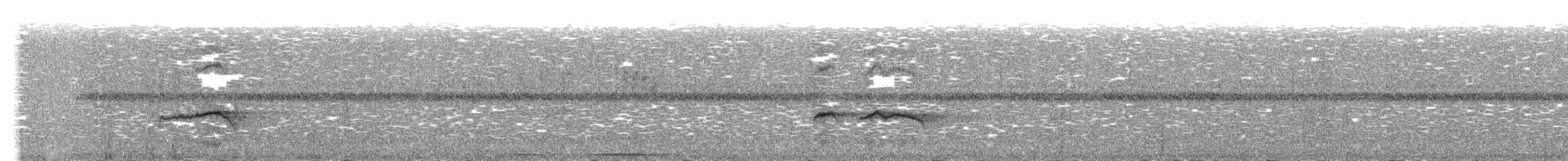 Strichelrücken-Ameisenfänger - ML270017681