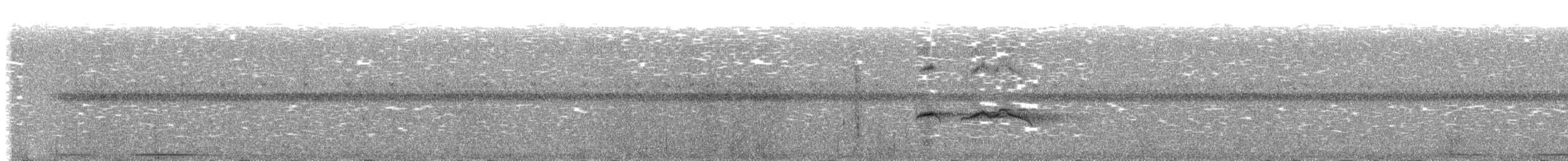 Strichelrücken-Ameisenfänger - ML270017691