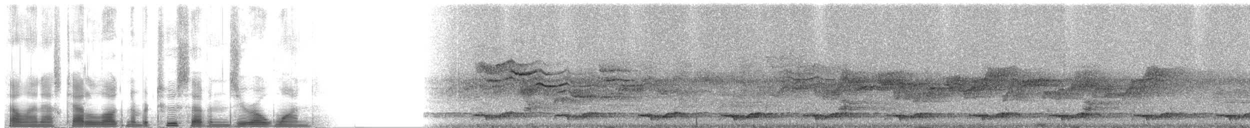 Spotted Wood-Quail - ML2701