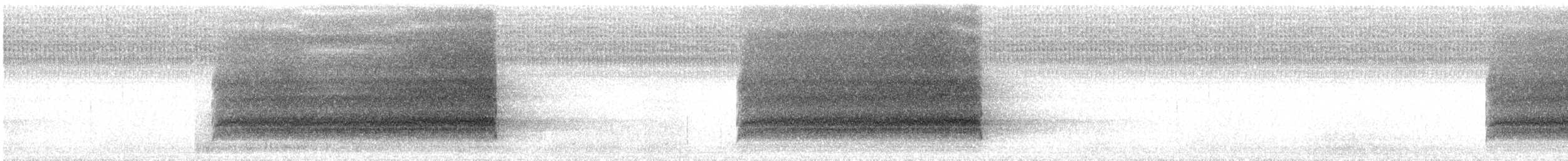 Чёрная сипуха (tenebricosa/arfaki) - ML27010881