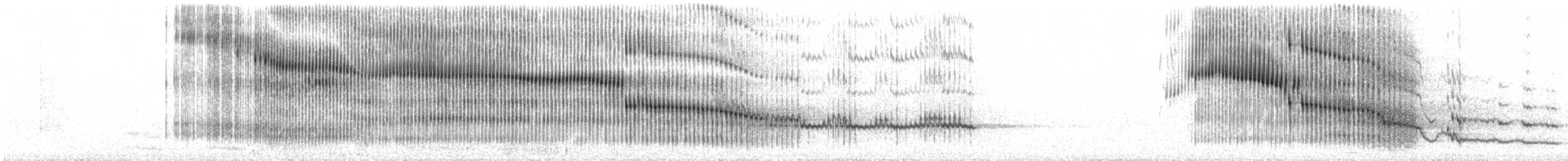 sotslørugle (tenebricosa/arfaki) - ML27011101