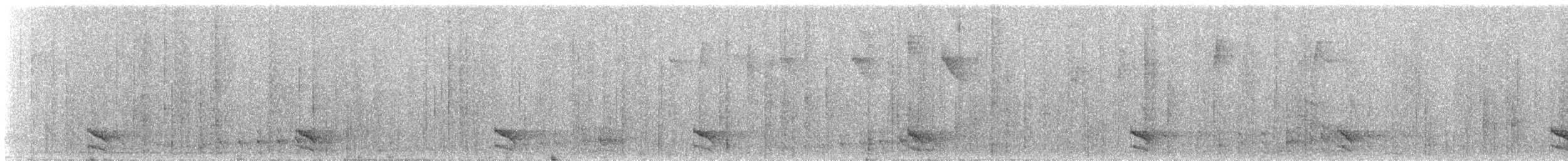 Полосатый лесной сокол - ML270121031